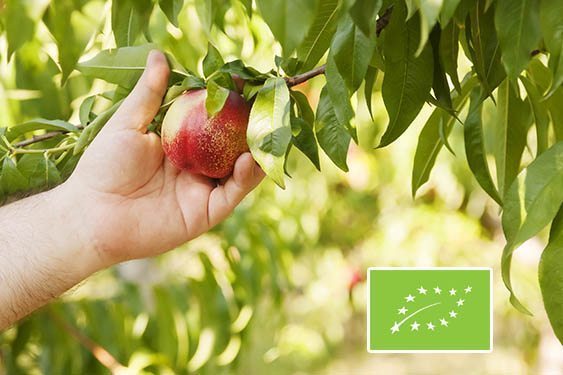 Warto sięgać po produkty sprawdzone – z certyfikatem eko
