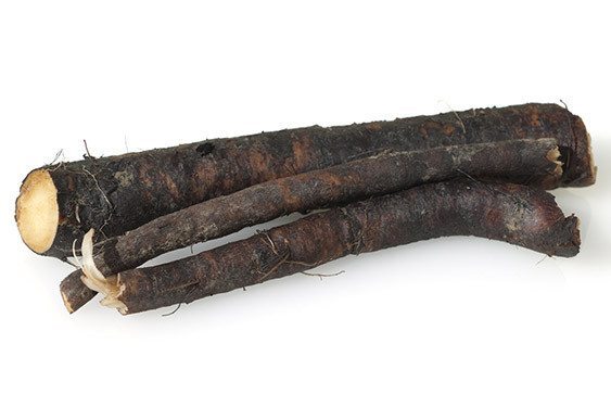 korzeń żywokostu