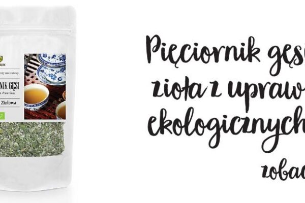 Pięciornik gęsi >> Dowiedz się więcej