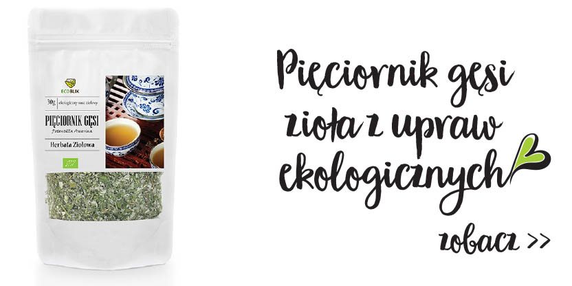 pięciornik gęsi