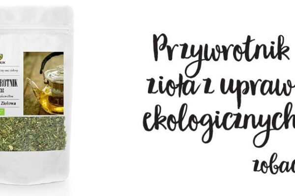 Przywrotnik >> Dowiedz się więcej