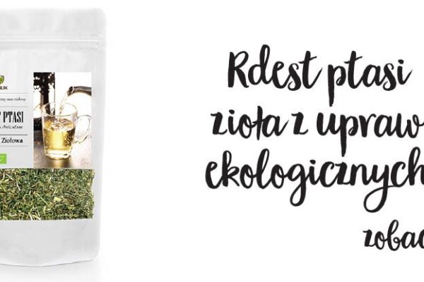 Rdest Ptasi >> Dowiedz się więcej